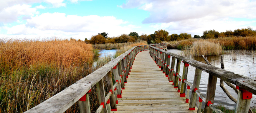 Tablas_Daimiel_6