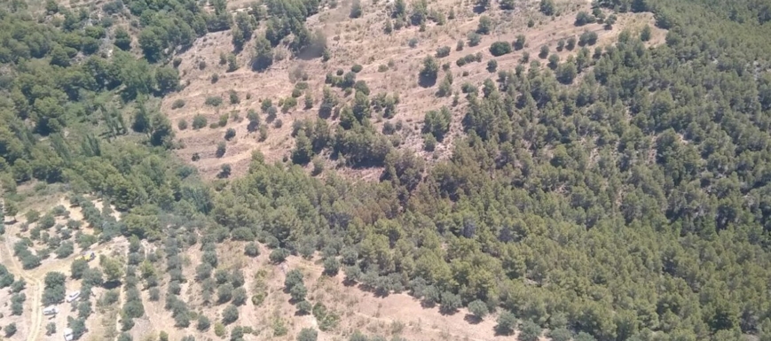Zona del nuevo incendio declarado en Yeste