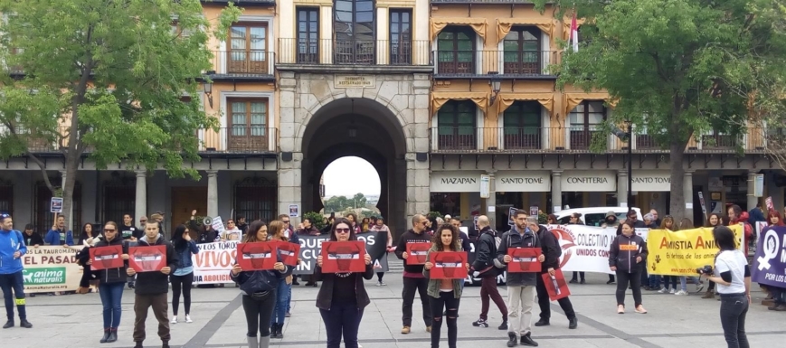 Manifestación de la Coordinadora Antitaurina de Castilla-La Mancha