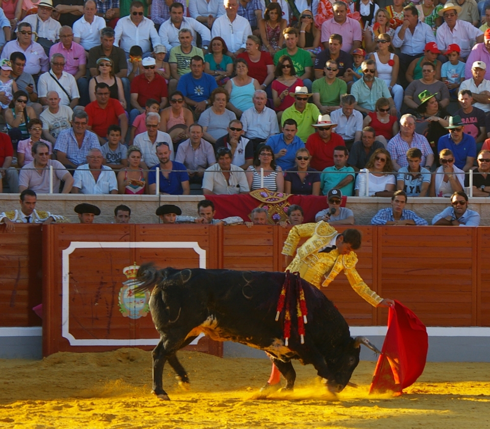 La Radio Onda Toros Retransmitira En Directo La Feria Alfarero De Oro De Villaseca De La Sagra Toledo Enclm