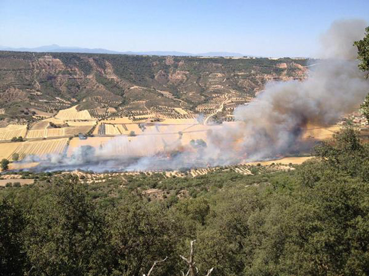 Una veintena de personas intentan sofocar un incendio en ...