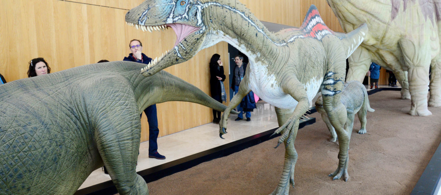 Museo_Paleontologico_Cuenca_18_63
