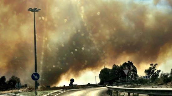 Incendio en Toledo