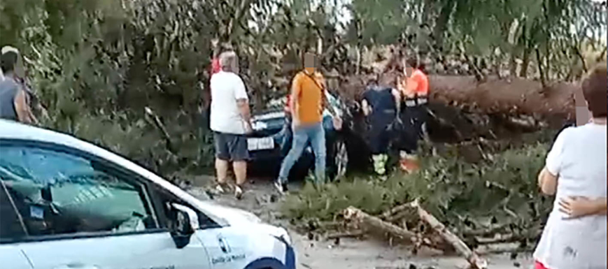 Accidente_